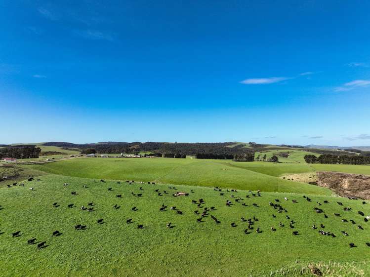 696 Jacks Hill Road Waimahaka_16