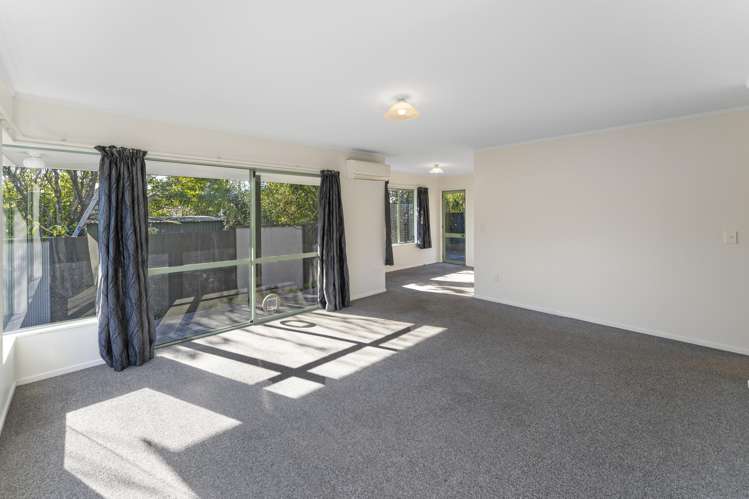 2/204 Kawai Street Nelson South_12