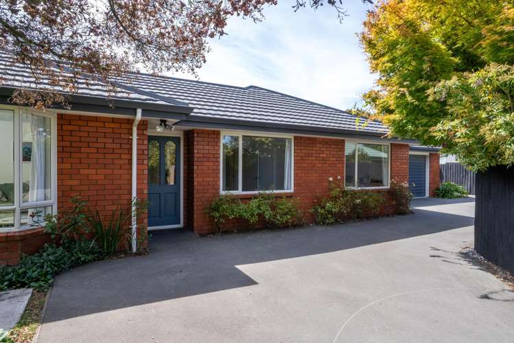 3 Nina Lane Somerfield_18