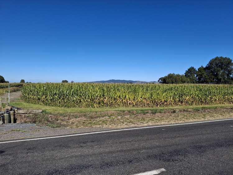 No 1 Road Springdale_8