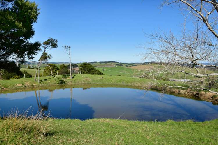 3356 Kaipara Coast Highway Glorit_38