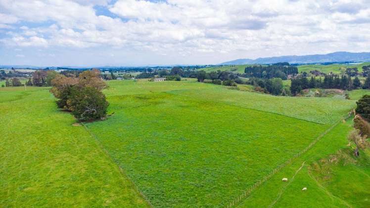 87 Otanga Road Dannevirke_2