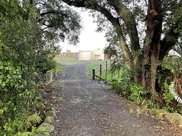 1343 Devon Road Waitara_18