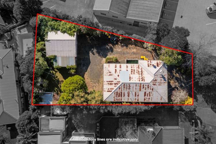 244 Forrest Hill Road Forrest Hill_21