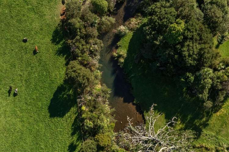 8 Ridge View Place Waihi_37