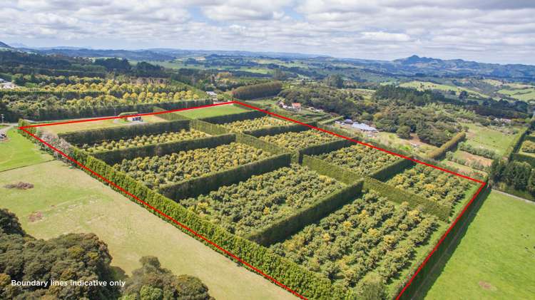 143 Norris Road Maungatapere_0