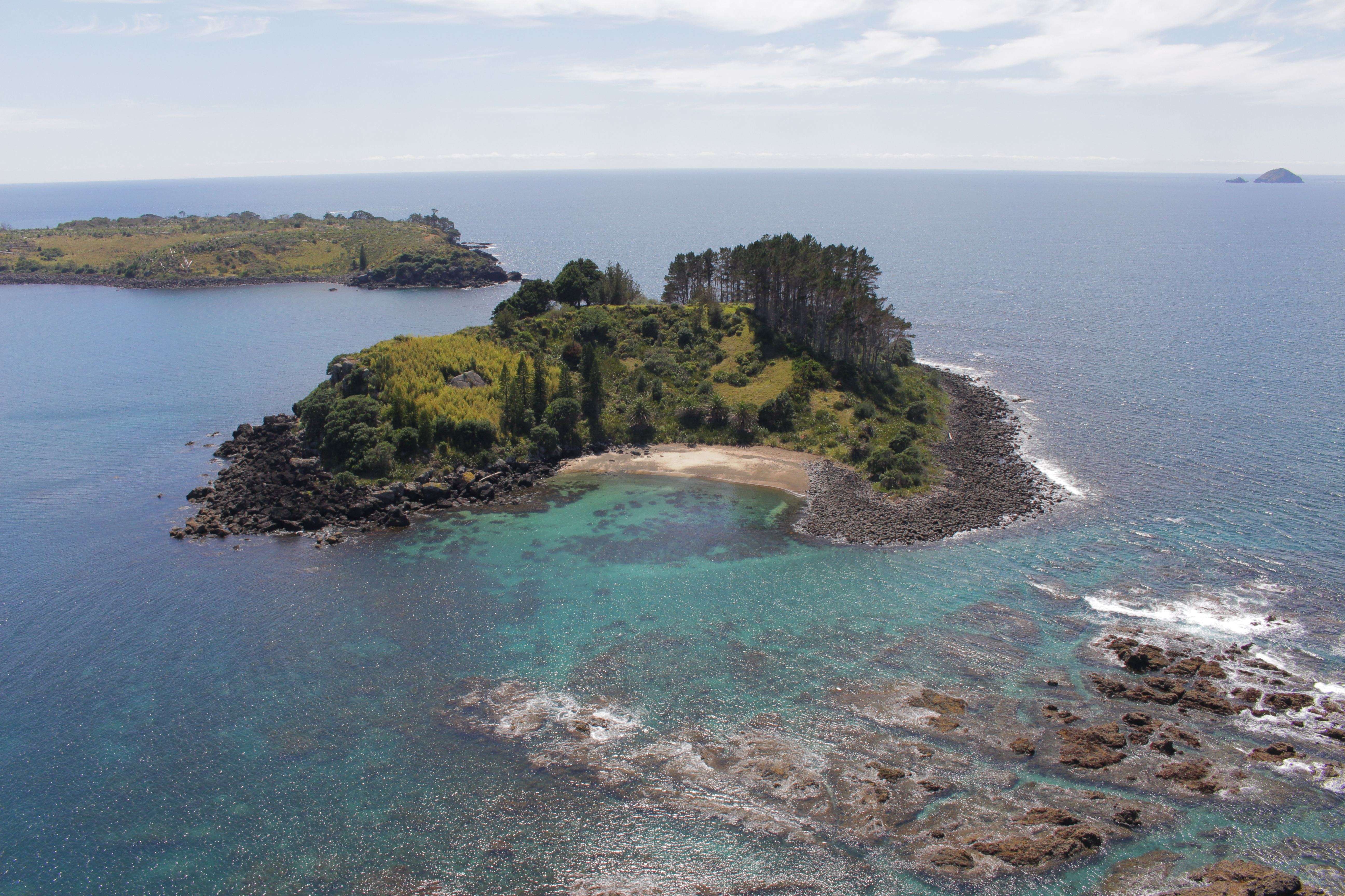 Rare Robinson Crusoe island in Far North sells for secret sum