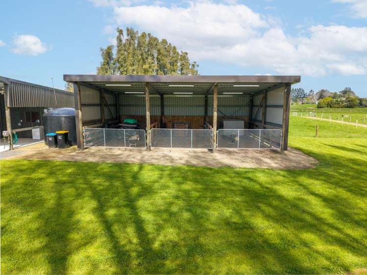 21 Barrett Road Ngahinapouri_29