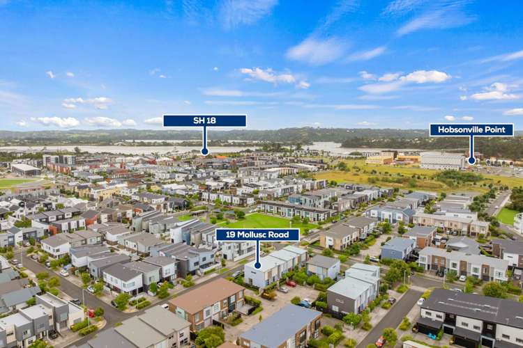 19 Mollusc Road Hobsonville_15