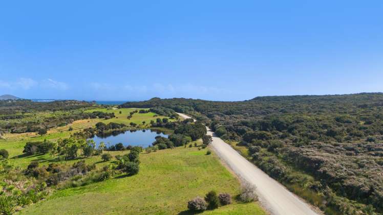 Lot 1/449 Matai Bay Road Karikari Peninsula_5