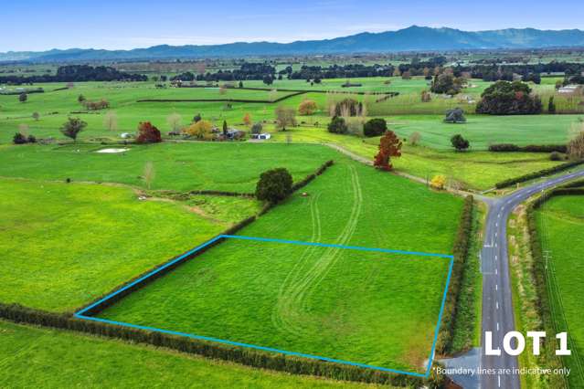 356 Mangateparu Loop Road Morrinsville_2