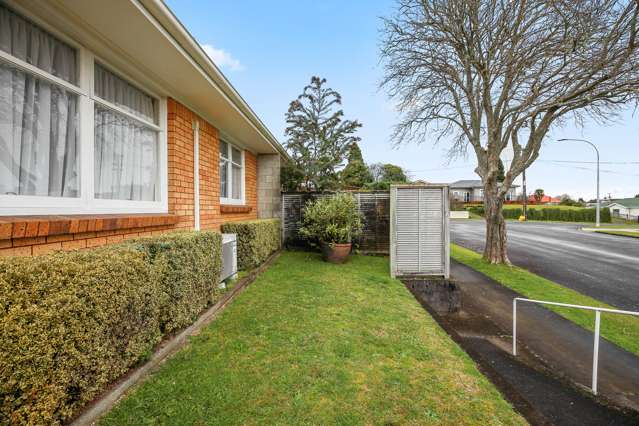 309 Palmer Street Te Awamutu_4