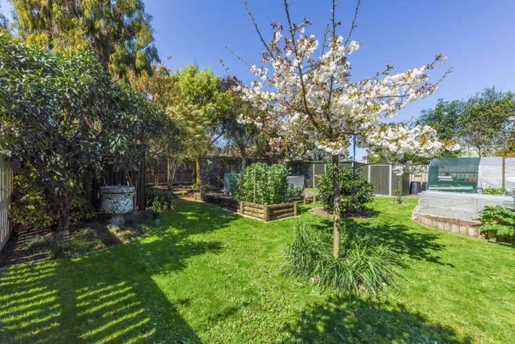 72 Iwa Street Mapua_18