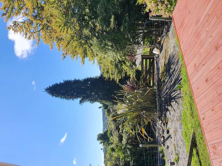 232 Woodstock-Rimu Road Ruatapu_10