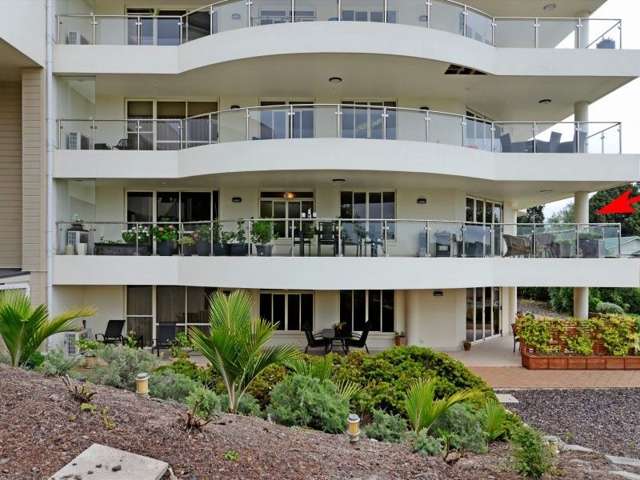 40h Thackeray Street Hamilton Lake_1