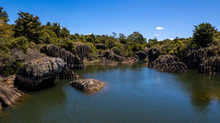 317C Onekura Road Kerikeri_37