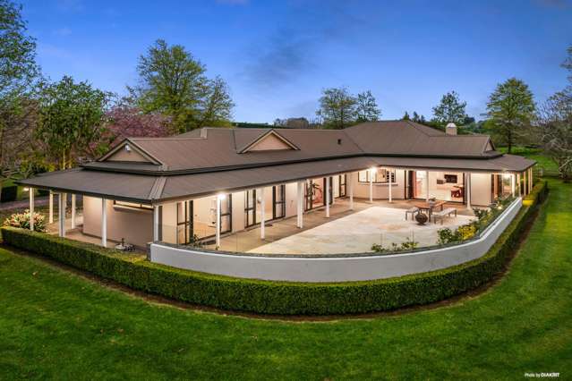 703 Runciman Road Pukekohe East_2