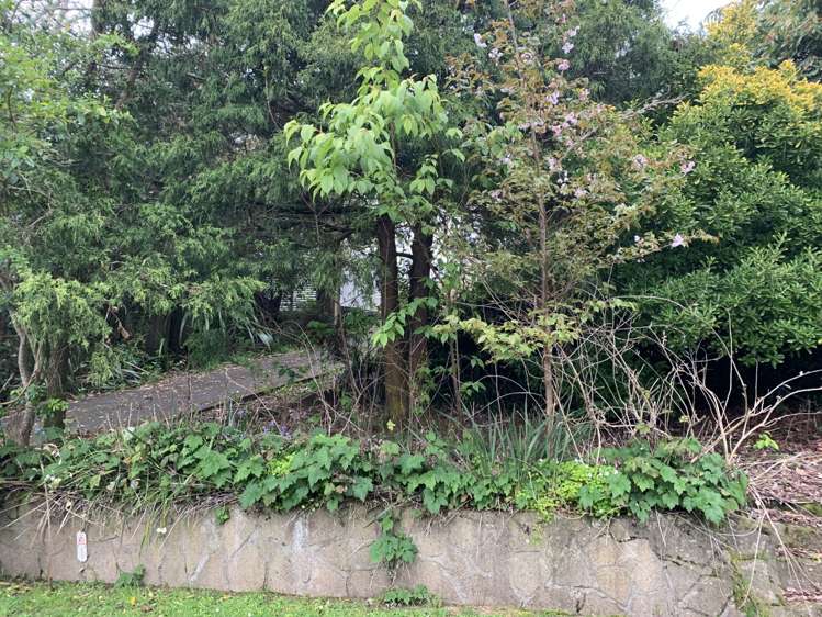 42 Bretton Terrace Hillcrest_16