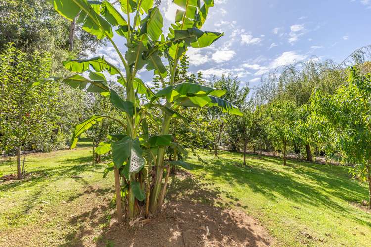 146 Manakau Heights Drive Manakau_17