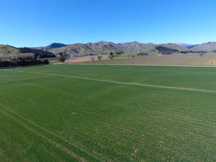 366 Tyntesfield Road Waihopai Valley_8