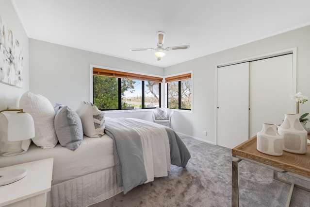 Entry-level Gem| Convenient and Affordable
