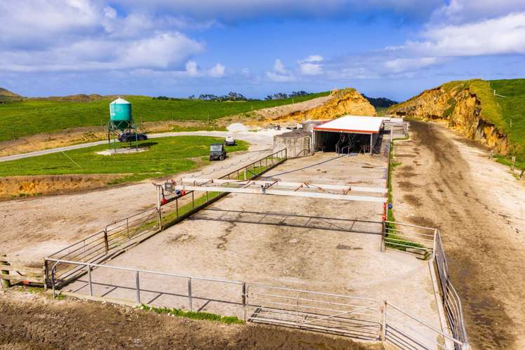 780 Te Maire Road Te Kopuru_6