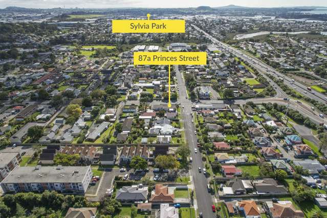 87a Princes Street Otahuhu_1