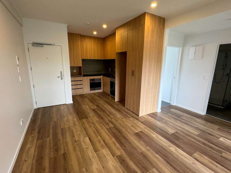 107/48 Clay Works Lane New Lynn_5