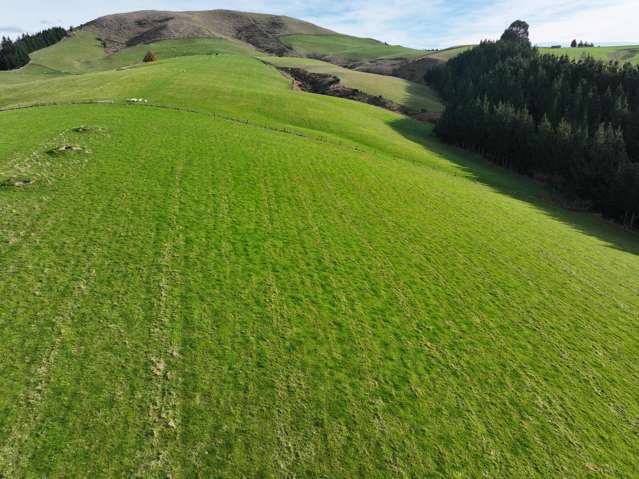 3 Conical Hill Road Gore_1