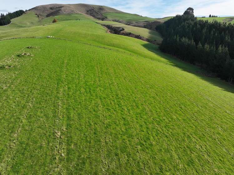 3 Conical Hill Road Gore_1