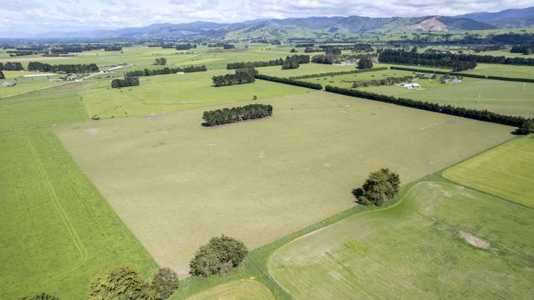 174 Wiltons Road Carterton_11