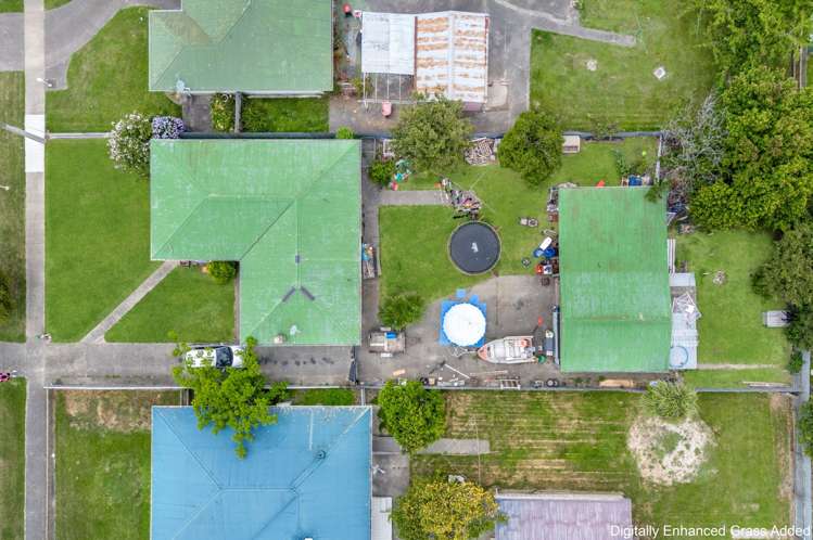 79 Bledisloe Road Maraenui_12