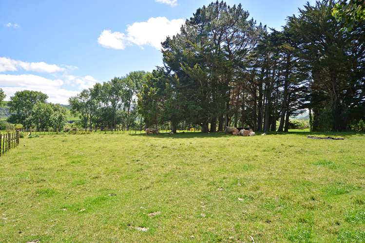 393 Chester Road Carterton_14