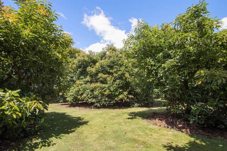 134 Matahui Road Aongatete_25