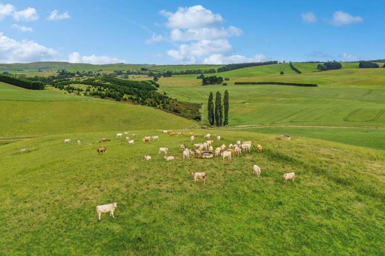 70 Finlay's Road Windsor_8