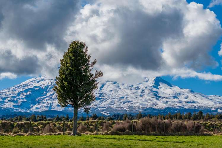 Lot 10/136 Matapuna Road Horopito_12