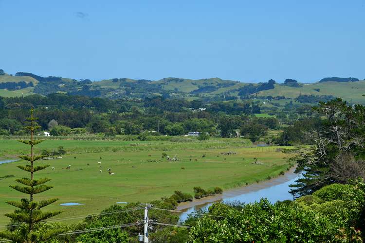 35b Saint James Avenue Helensville_20