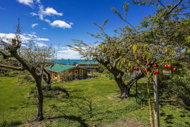 6 Port Robinson Road Domett_4