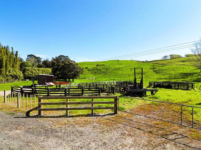 445 Avoca Road Dargaville_1