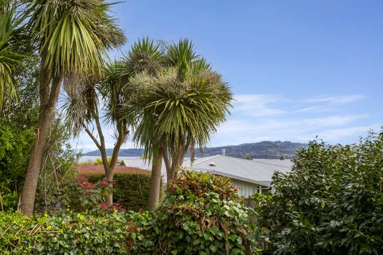 2/23 Rimu Street Taupo_16