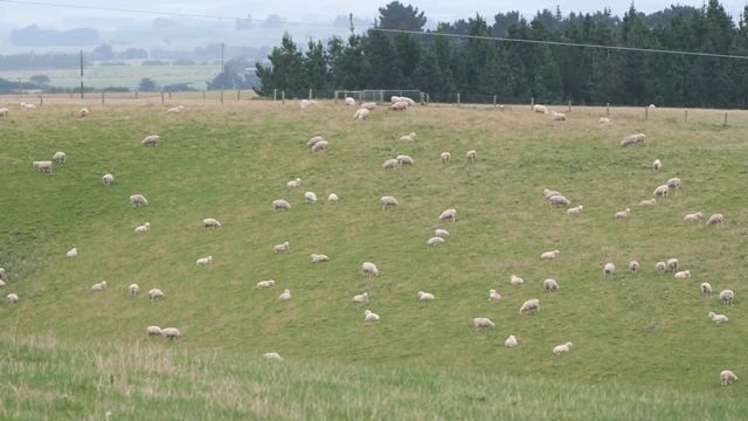 188 Homestead Road Clinton and Surrounds_12