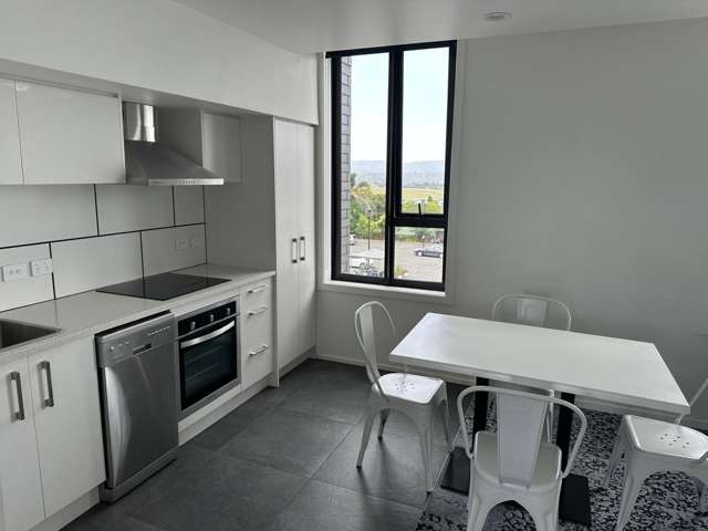 322/1 Layard Street 10016_4