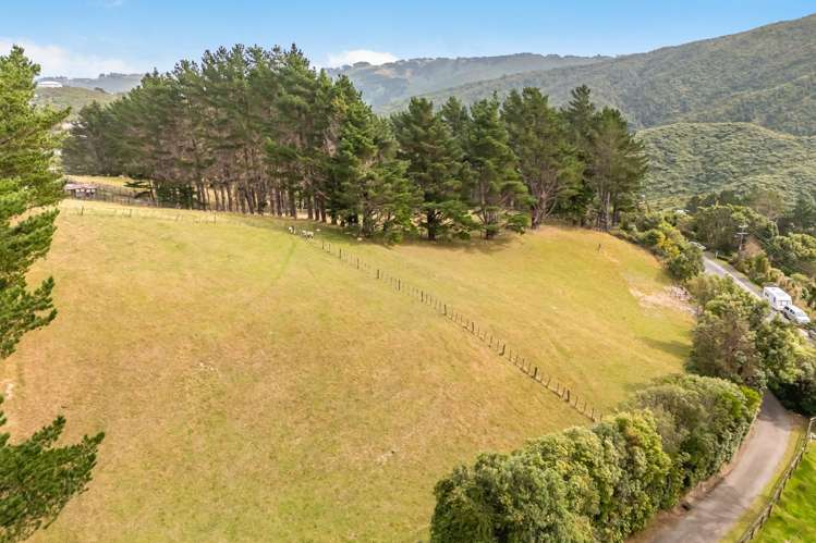 42 Cottle Park Drive Normandale_31