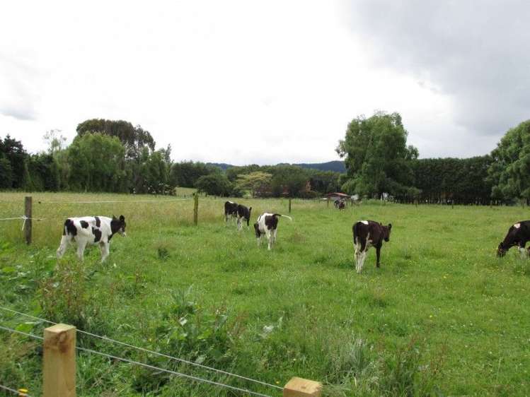 6 Fairview Place Levin_2