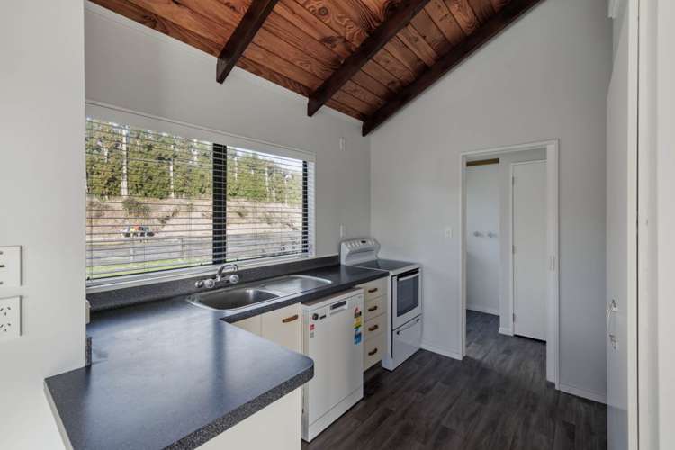 374 Youngson Road Whakamarama_14