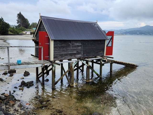 2006.003 Boat Shed - Harington Point Road Otakou_3
