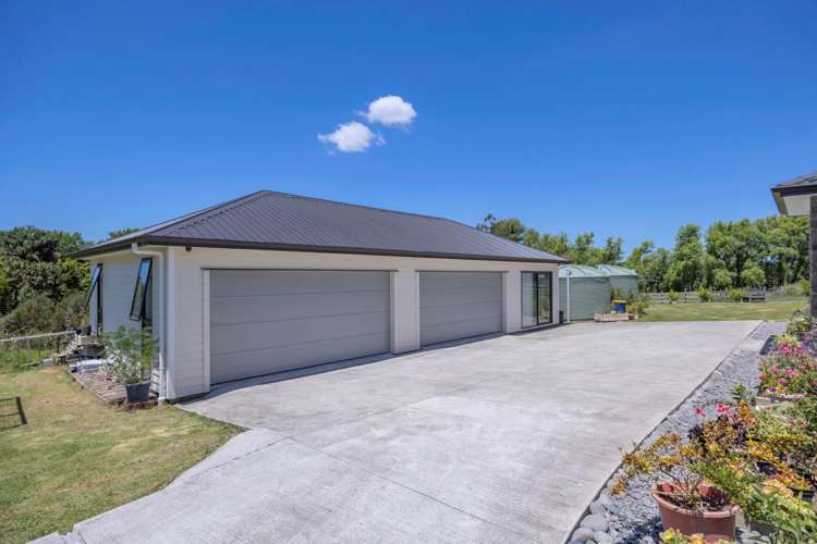 134 Postman Road Dairy Flat_10