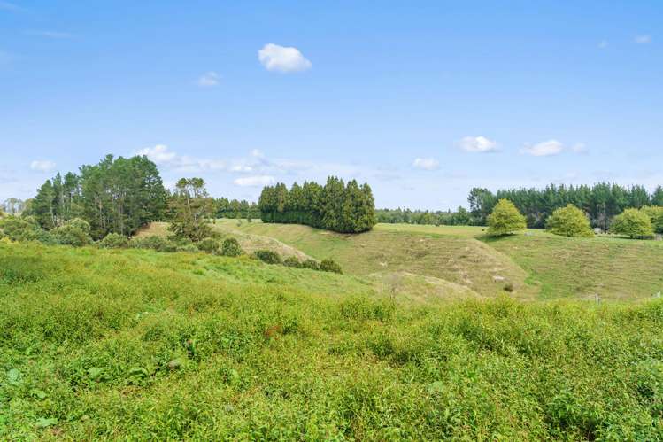 288 Oropi Gorge Road Oropi_42