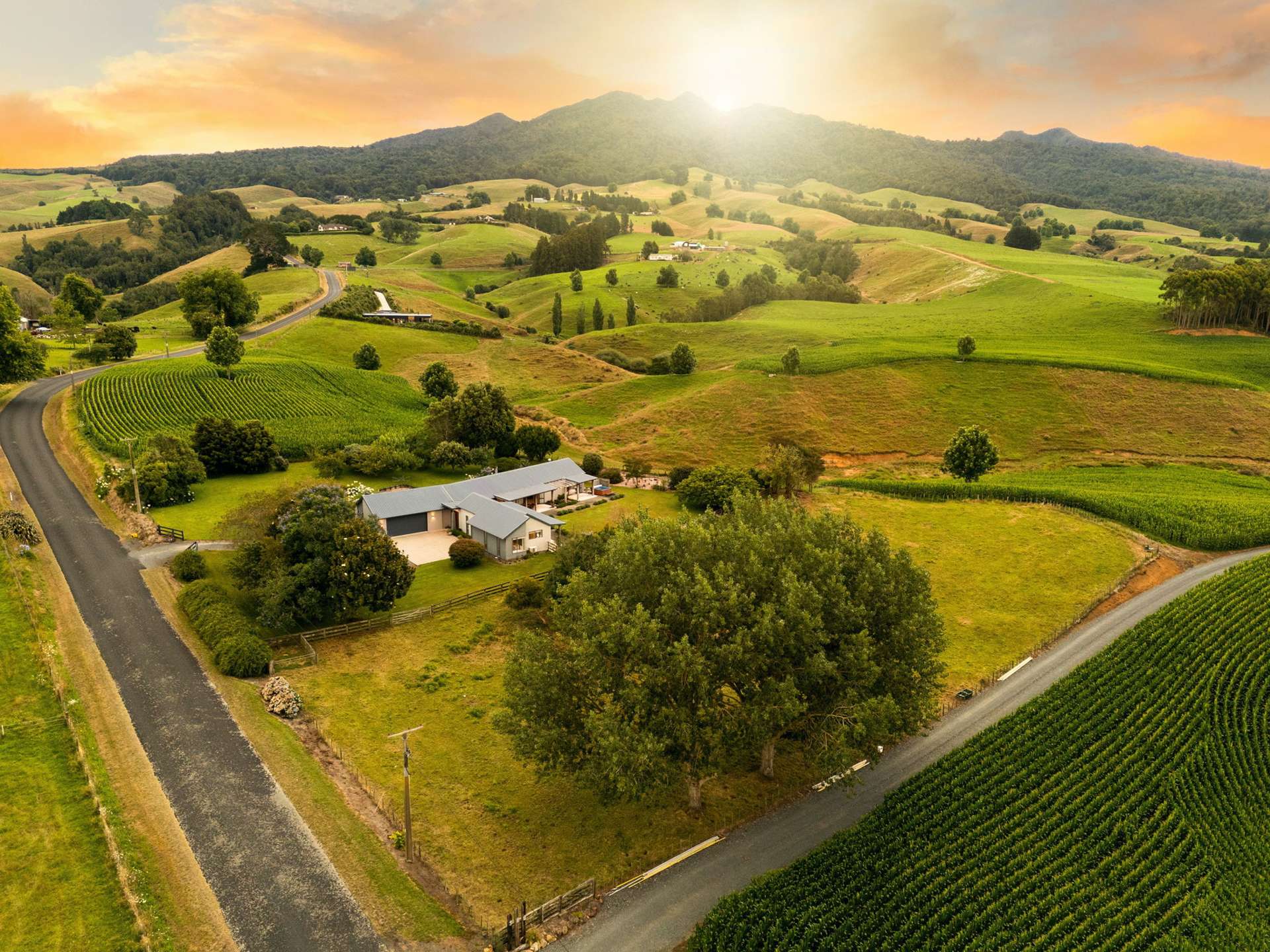 400 O'Shea Road Pirongia_0