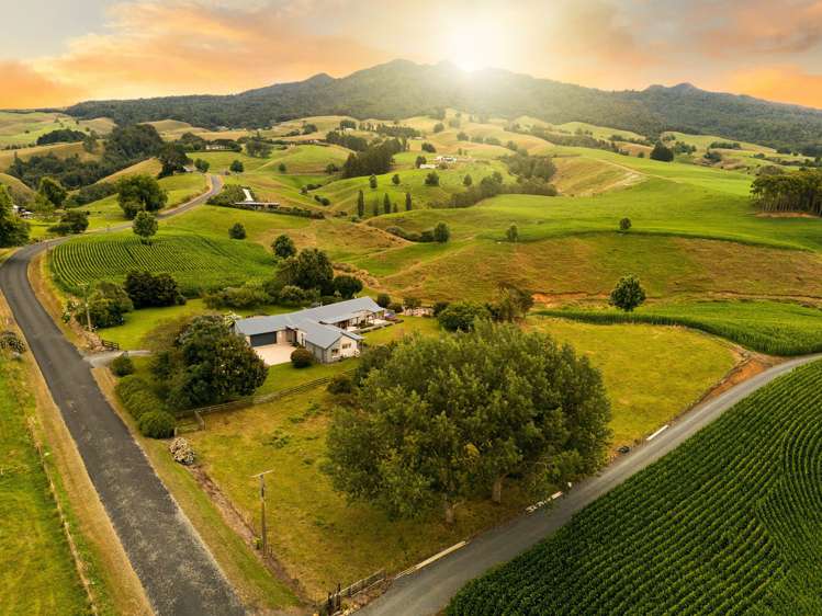 400 O'Shea Road Pirongia_0